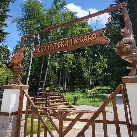Pinewood Ang Luxurious Apartment A43, Borovets Gardens 外观 照片