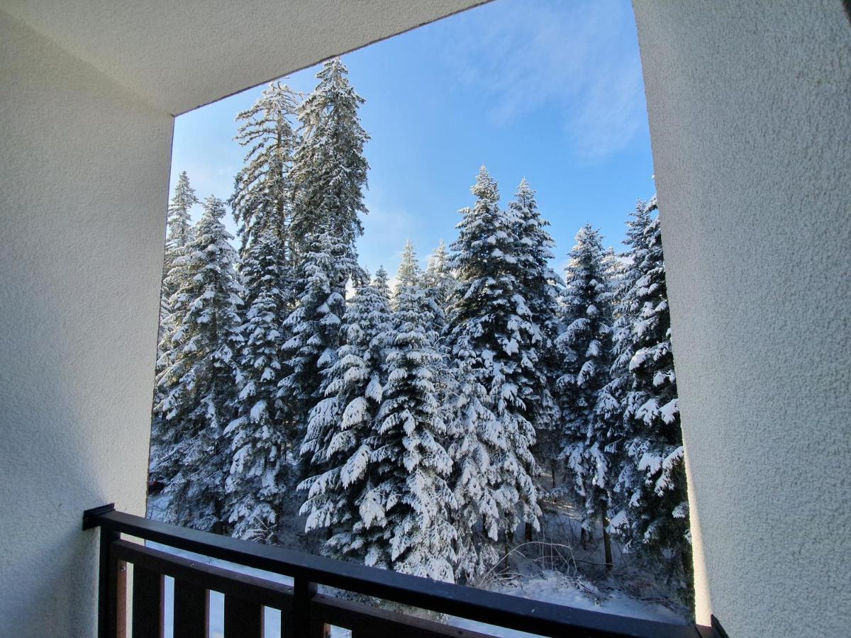 Pinewood Ang Luxurious Apartment A43, Borovets Gardens 外观 照片