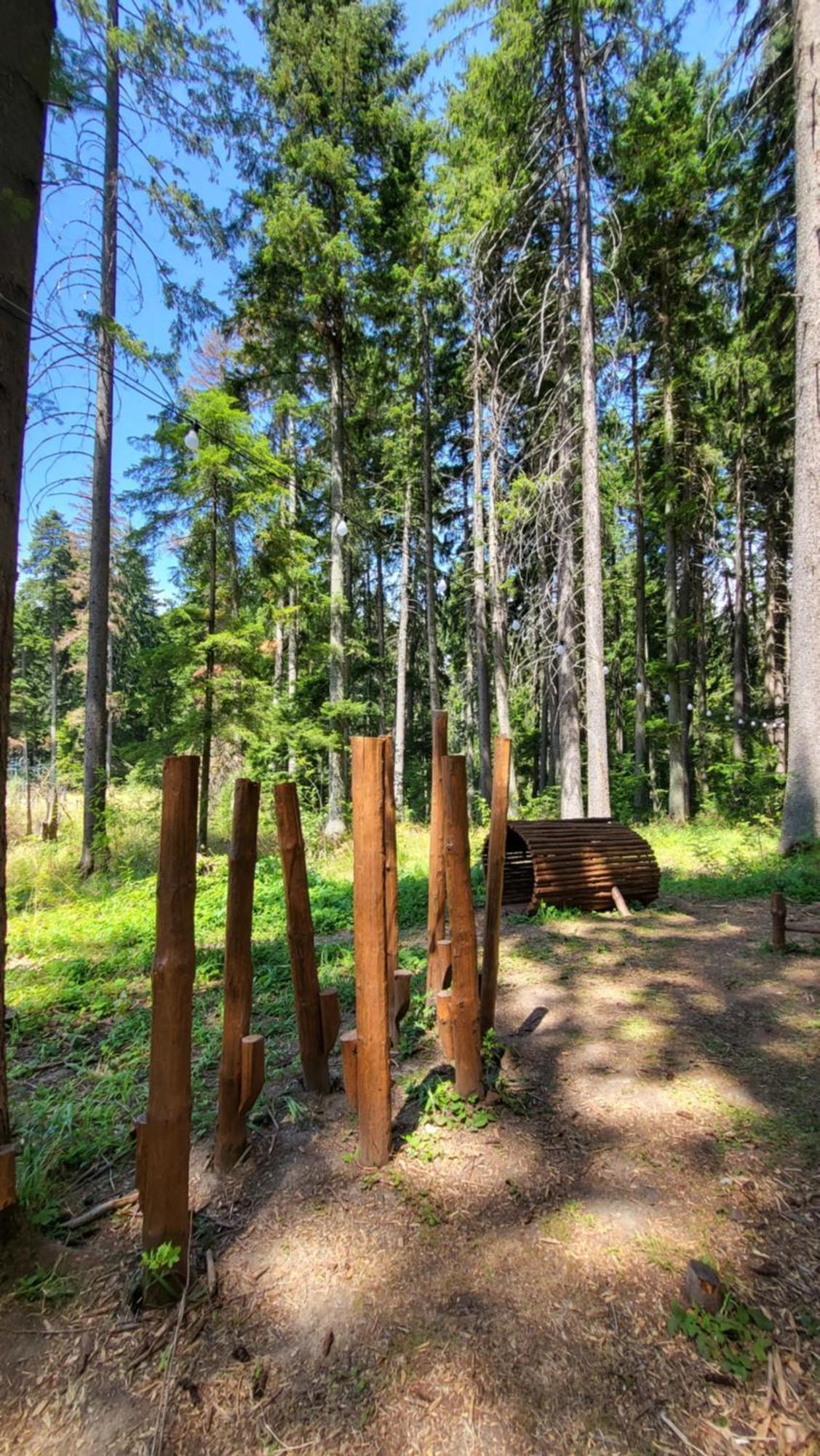 Pinewood Ang Luxurious Apartment A43, Borovets Gardens 外观 照片