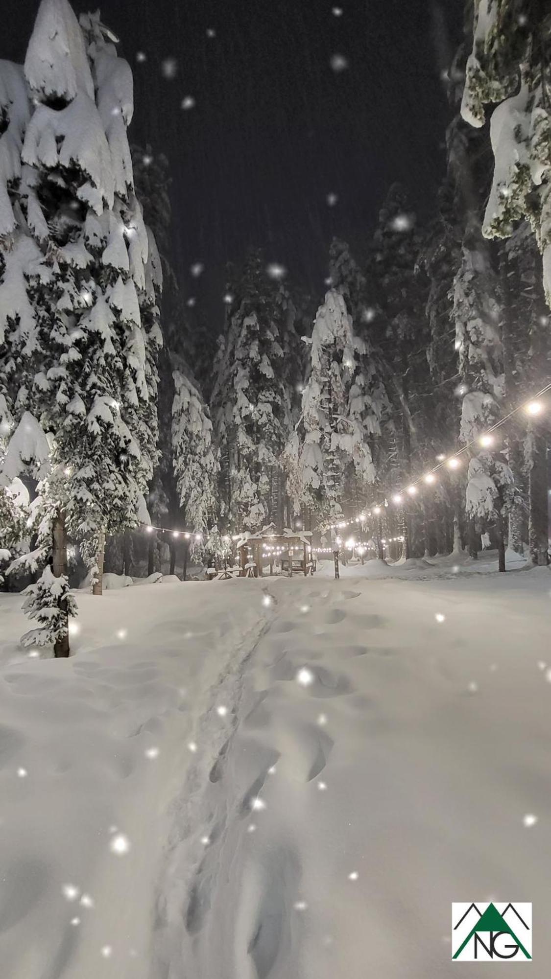 Pinewood Ang Luxurious Apartment A43, Borovets Gardens 外观 照片